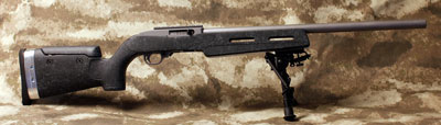 CLARK CUSTOM RUGER 10/22 PROJECT - "TACK DRIVER"